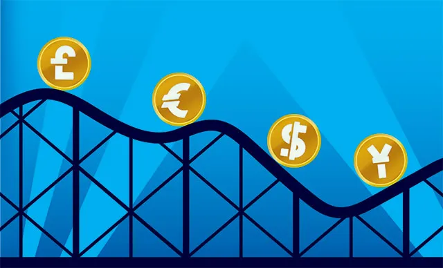 Currency Value and Exchange Rate Fluctuations