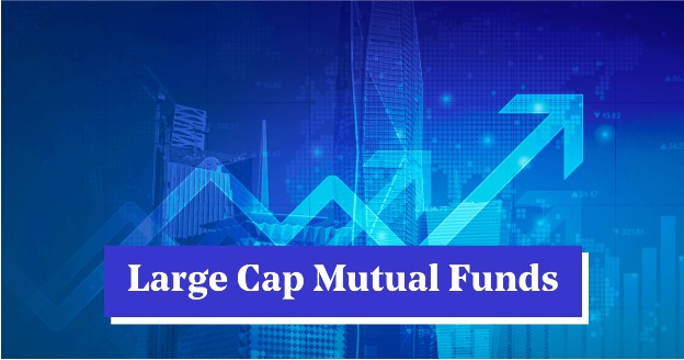 How Large Cap Funds Protect Your Portfolio During a Market Correction