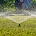 drip irrigation