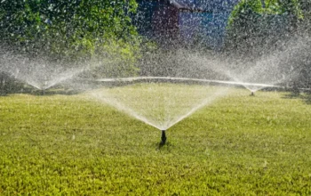 drip irrigation