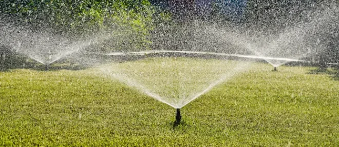 drip irrigation