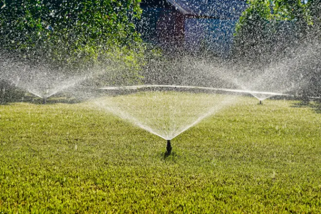 The Importance of Consistent Supply in Drip Irrigation