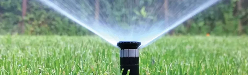 Sprinkler