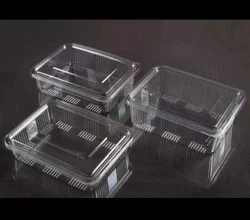 Hinged Plastic Containers