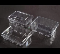 How to Select Hinged Plastic Containers for Bakery and Dessert Products
