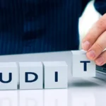 Audit
