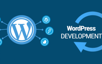 WordPress Developer