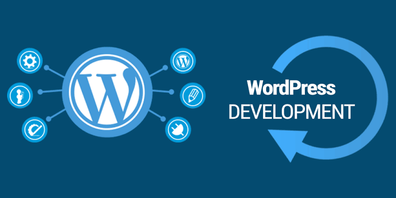WordPress Developer Near Me: How to Compare Skills, Experience, and Support